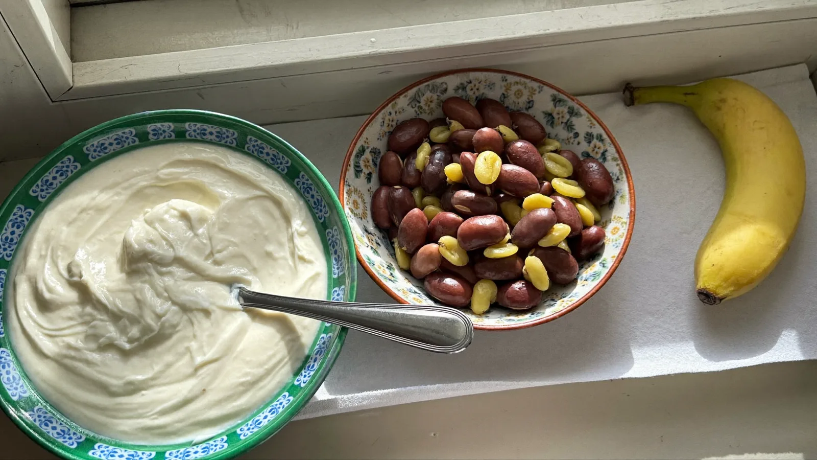 Prebiotics vs. Probiotics: What's Actually the Difference